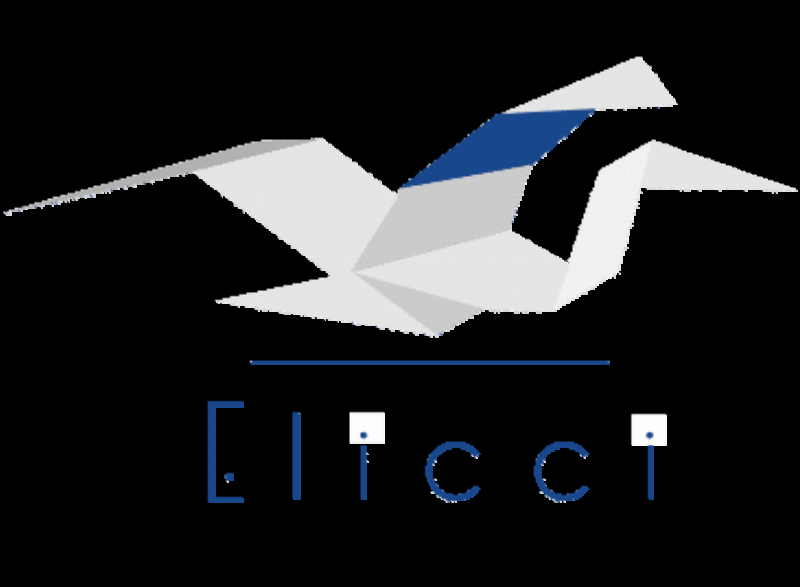 Musiciens en cérémonie, hommage, Musique Classique Pour Enterrement D Une Maman, émotion partagée